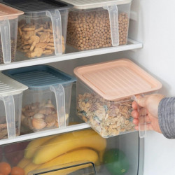 Récipient alimentaire sans odeur Imperméable à l’eau Boîte de stockage de grains porteuse Récipient alimentaire sans odeur Imperméable à l’eau Boîte de stockage de grains porteuse