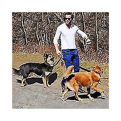 4rolls Dog Poop Bag, Pet Trash Bags, Trash Bag Dispenser, For Collecting Pet Dog Feces And Garbage