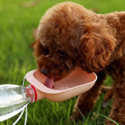 200ml Large Capacity Portable Water Cup For Cats And Dogs With Pets, With Head On Sprinkler Comes Wi 200ml Large Capacity Portable Water Cup For Cats And Dogs With Pets, With Head On Sprinkler Comes Wi