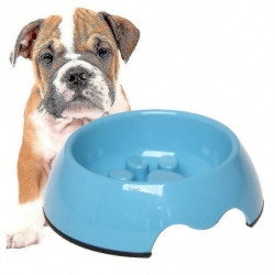 Pet Slow Food Bowl Pet Slow Food Bowl