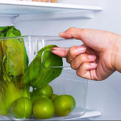 TY-9049 Transparent PET Food Organizer Refrigerator Storage Box, Size L (BPA Free, No FDA) TY-9049 Transparent PET Food Organizer Refrigerator Storage Box, Size L (BPA Free, No FDA)