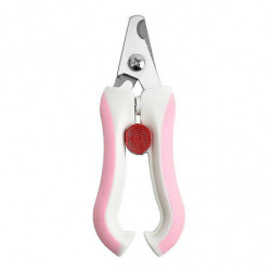 Pet Supplies For Dog Bowls Pet Supplies For Small Dog 50ml Pet Deodorants