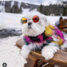 Pet Glasses Eye-catching Super Light Plastic Small Dog Fashion Round Glasses Pet Supplies For Outdoor Qinhai