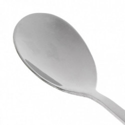 Pet Food Mixing Spoon Dog Can Food Shovel Stainless Steel Spoon