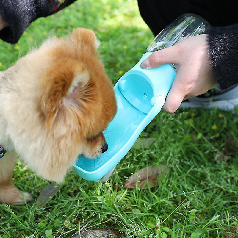 Dog Foldable Water Feeding Cup With Lanyard Large Capacity Leakproof Drinking Bowl Pet Dogs Supplies