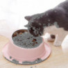Cat Dog Bowl Raised Cat Food Water Bowl Animaux de compagnie Chiot Petit Chien Moyen Durable