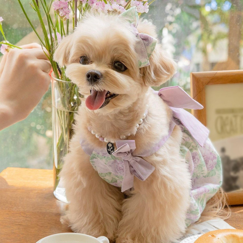 Pet Hairpin Adorable Elegant Exquisite Pet Cat Dog Rose Print Bowknot Hair Clip Pet Supplies