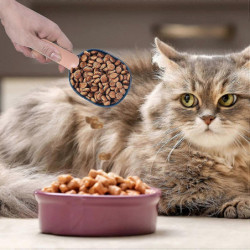 Teaspoon With Clip - Comfortable And Stylish Multi-function Handle For Food - Teaspoon With Zipper Bag Holder For [...]