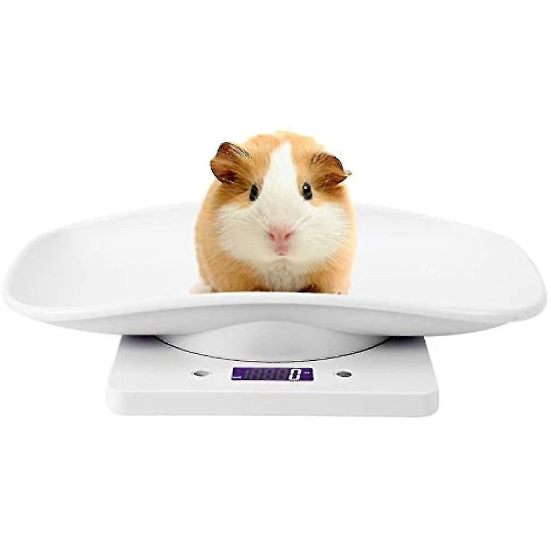 Estink Digital Pet Scale 4 modes de pondération (ozmllbg) Pour mesurer la capacité alimentaire des chiens jusqu’à [...]