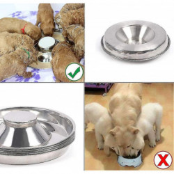 Cat And Dog Feeding Bowl, 1 Piece, Silver