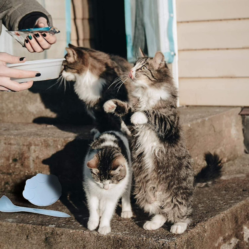 1 Set Of Silic Can Cover With Pet Food Spoon Silic Pet Can Cover Pet Spoon Food Can Co