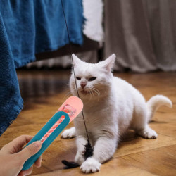 Pet Cat Food Spoon: Kitten Treat Snack Er Animal Food Squeeze Spoon Er Pet Treat Tools