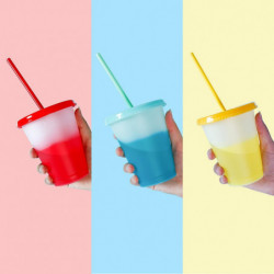 ZHOUBA 473ml Water Cup Lidded Color Changing Plastic Daily Use Straw Juice Cup Kitchen Supplies ZHOUBA 473ml Water Cup Lidded Color Changing Plastic Daily Use Straw Juice Cup Kitchen Supplies