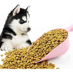 3 Pieces Plastic Handle Pet Dog Cat Food Feeder Shovel Scoop Cat Litter Scoops, 3 Colors 3 Pieces Plastic Handle Pet Dog Cat Food Feeder Shovel Scoop Cat Litter Scoops, 3 Colors