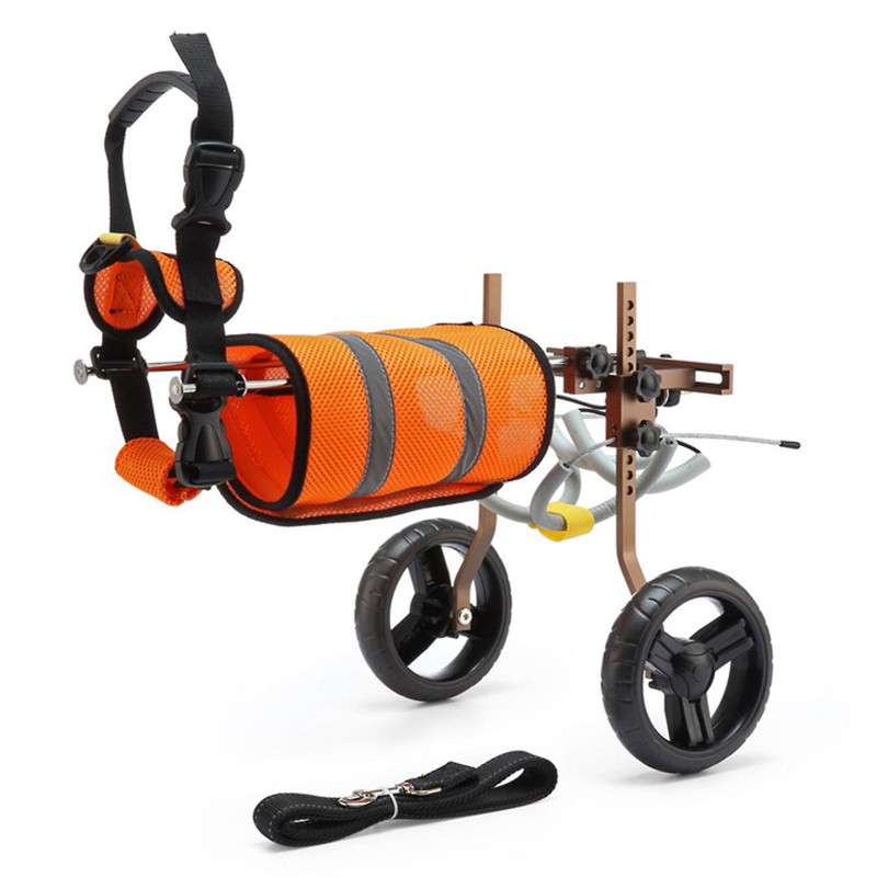 Fauteuil roulant de scooter pour chien handicapé avec poignée pour les petits chiens sécurité des pattes arrière