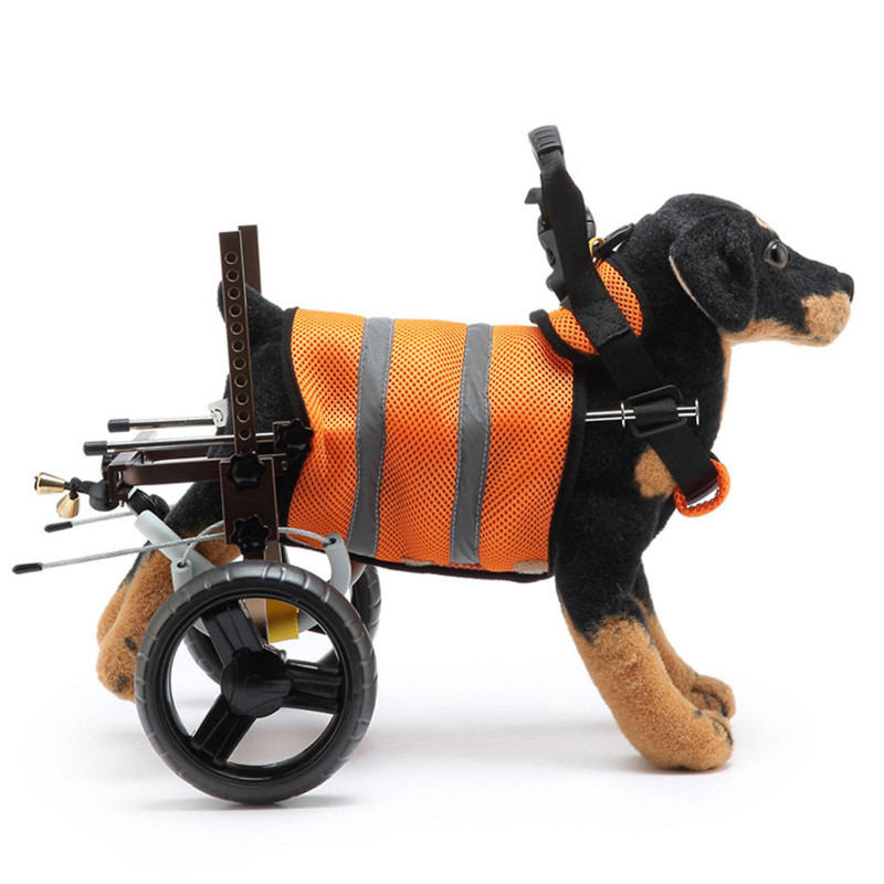 Fauteuil roulant de scooter pour chien handicapé avec poignée pour les petits chiens sécurité des pattes arrière