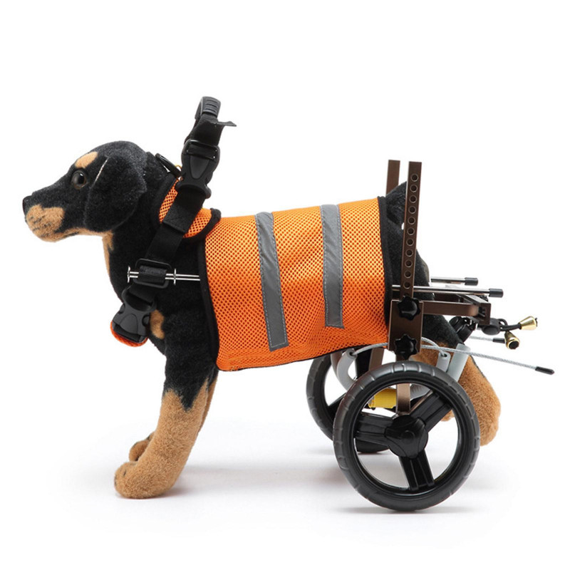Fauteuil roulant de scooter pour chien handicapé avec poignée pour les petits chiens sécurité des pattes arrière