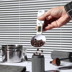 Electronic Kitchen Scale 500g 0.1g Lcd Display Digital Weight Measuring Spoon Digital Spoon Scale Mini Kitchen Tool Electronic Kitchen Scale 500g 0.1g Lcd Display Digital Weight Measuring Spoon Digital Spoon Scale Mini Kitchen Tool