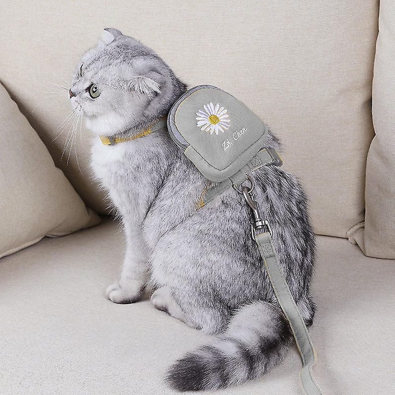 Pet Cat Supplies-petits Chats Et Chiens Traction Corde Poitrine Strap Pet Bac