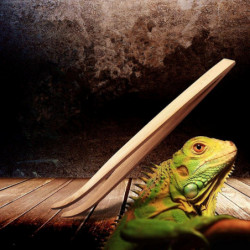 4 Pcs 16.5cm Bamboo Tweezers Pet Insects Gardening Bent Feeding Tool 4 Pcs 16.5cm Bamboo Tweezers Pet Insects Gardening Bent Feeding Tool