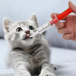 2 Pcs Pet Medicine Feeder - Pet Pill Poppers Handy Durable Pet Pill 2 Pcs Pet Medicine Feeder - Pet Pill Poppers Handy Durable Pet Pill