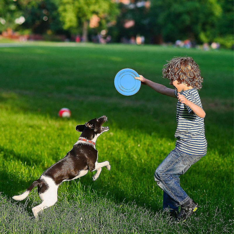 Barbecue Clip, Stain Steel Food Clip, Multifunction Food Clip For Kitchen, 12 Inches