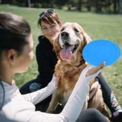 Barbecue Clip, Stain Steel Food Clip, Multifunction Food Clip For Kitchen, 12 Inches Barbecue Clip, Stain Steel Food Clip, Multifunction Food Clip For Kitchen, 12 Inches