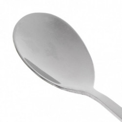 Pet Food Mixing Spoon Dog Can Food Shovel Stainless Steel Spoon Pet Food Mixing Spoon Dog Can Food Shovel Stainless Steel Spoon