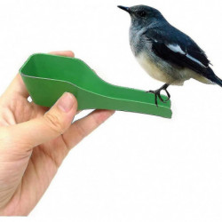 Green Bird Feeder Spoon Plastic Parrot Feeding Scoops Hand Food Feeding Green Bird Feeder Spoon Plastic Parrot Feeding Scoops Hand Food Feeding