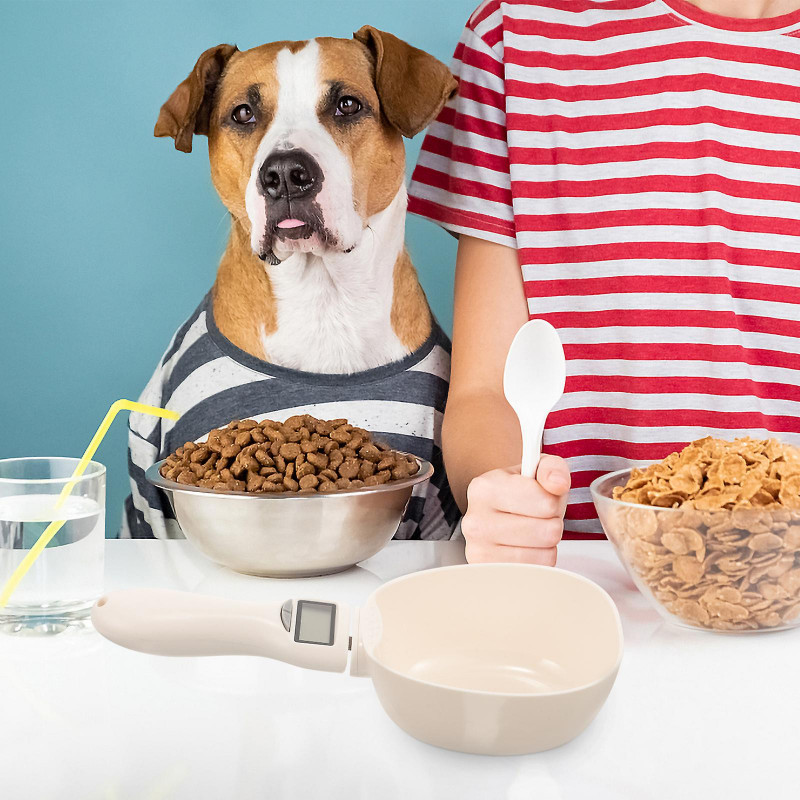 Digital Spoon Scale Food Shovel Detachable Handle Spoon Scale Electronic Food Spoon