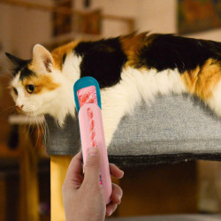 Cat Feeder Spoon Cat Spoon Cat Spoon Cat Food Feeding Spoon Cat Feeding Tool Cat Feeder Spoon Cat Spoon Cat Spoon Cat Food Feeding Spoon Cat Feeding Tool