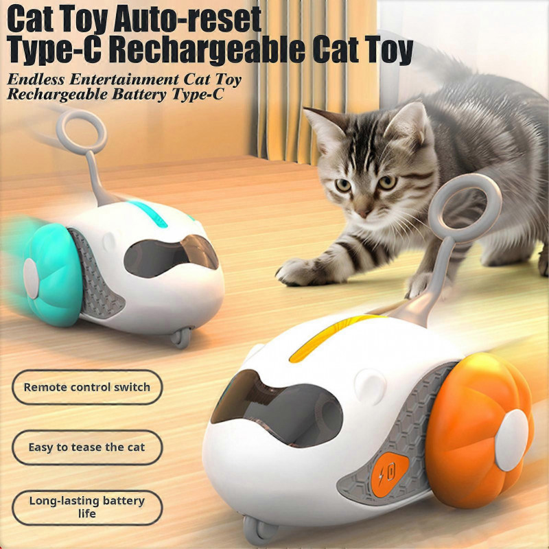 Animals Pet Supplies Pet Supplies Cat Supplies Cat Apparel U3968
