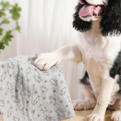 Animals Pet Supplies Pet Supplies Dog Supplies Dog Apparel U4785 Animals Pet Supplies Pet Supplies Dog Supplies Dog Apparel U4785