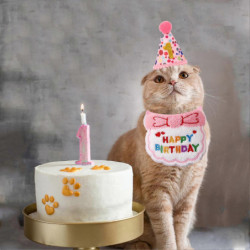 Animals Pet Supplies Pet Supplies Cat Supplies Cat Apparel U4068 Animals Pet Supplies Pet Supplies Cat Supplies Cat Apparel U4068