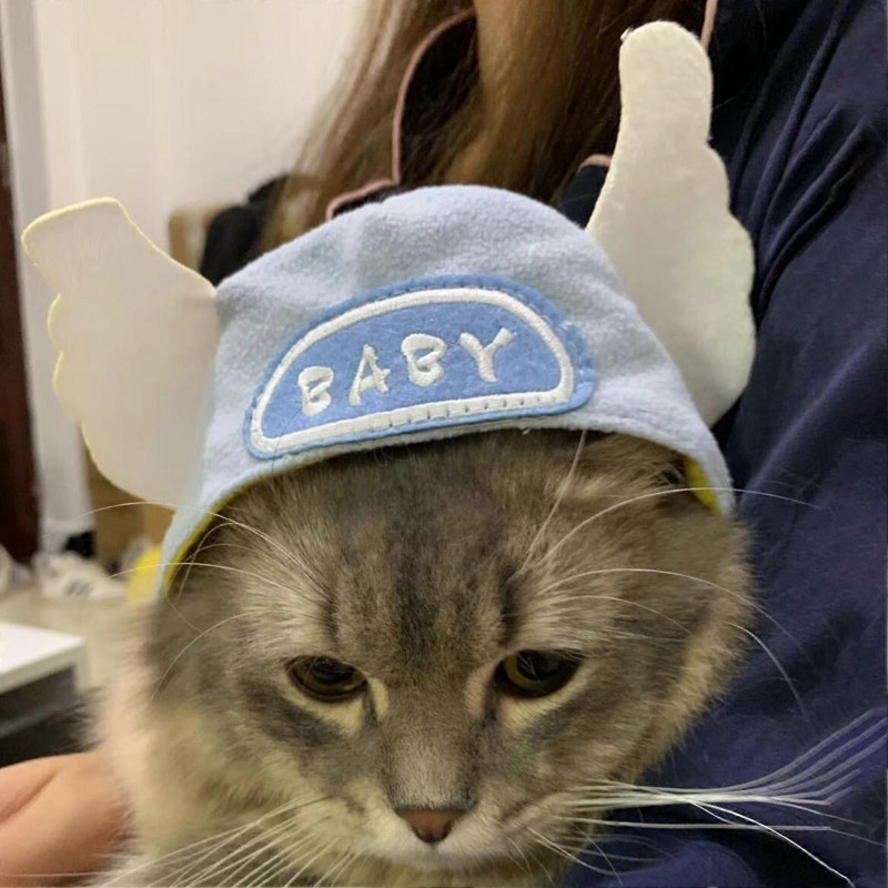 Animals Pet Supplies Pet Supplies Cat Supplies Cat Apparel U4561