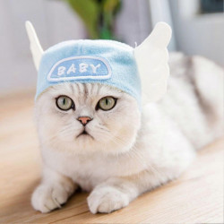 Animals Pet Supplies Pet Supplies Cat Supplies Cat Apparel U4561 Animals Pet Supplies Pet Supplies Cat Supplies Cat Apparel U4561
