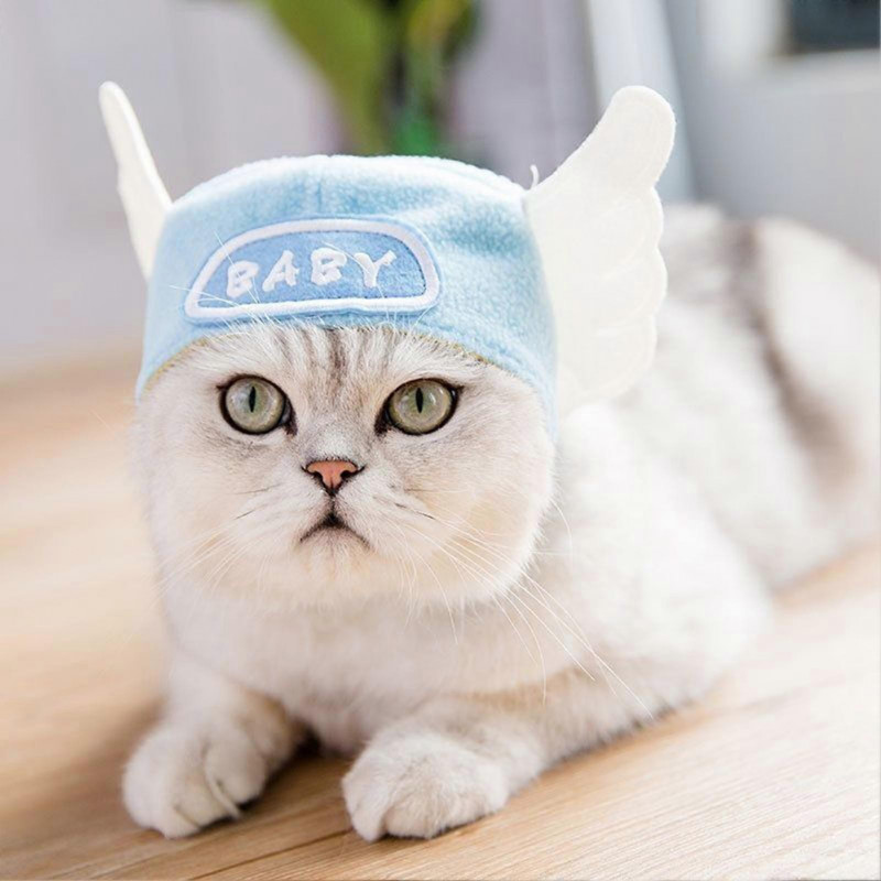 Animals Pet Supplies Pet Supplies Cat Supplies Cat Apparel U4561