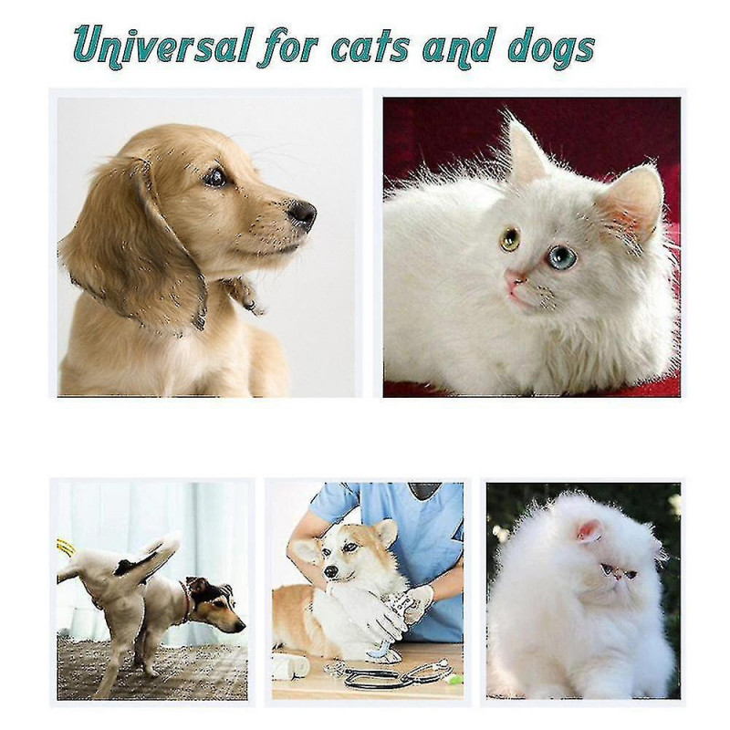 Par défaut Pet Cat Dog Ringworm Pet Dog Skin Care Usage externe Z33223