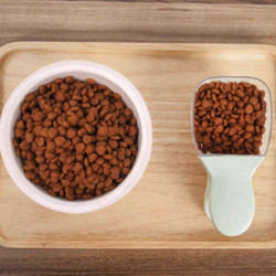 Pink Food Scoop Doser Dog Dry Dog Food Scoop Dog Food Storage Scoop Dog Food Spoon Pink Food Scoop Doser Dog Dry Dog Food Scoop Dog Food Storage Scoop Dog Food Spoon