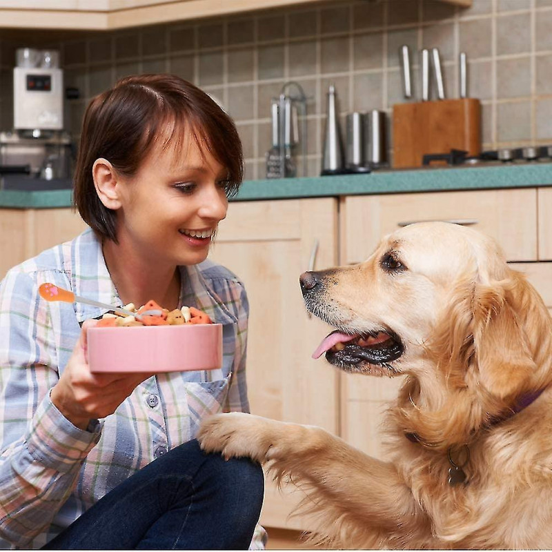 4 Pcs Stainless Steel Spoon For Pet Cat,silicone Handles Utensils Canned Pet Milk Powder Spoonorange+white