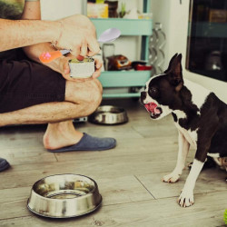 4 Pcs Stainless Steel Spoon For Pet Cat,silicone Handles Utensils Canned Pet Milk Powder Spoonorange+white 4 Pcs Stainless Steel Spoon For Pet Cat,silicone Handles Utensils Canned Pet Milk Powder Spoonorange+white