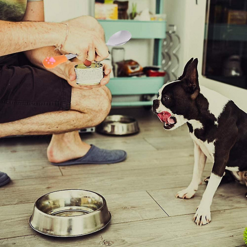 4 Pcs Stainless Steel Spoon For Pet Cat,silicone Handles Utensils Canned Pet Milk Powder Spoonorange+white