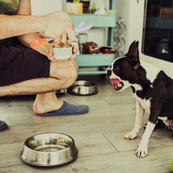 4 pcs Stainless steel spoon for pet cat,silicone handles utensils canned pet milk powder spoonorange+white 4 pcs Stainless steel spoon for pet cat,silicone handles utensils canned pet milk powder spoonorange+white