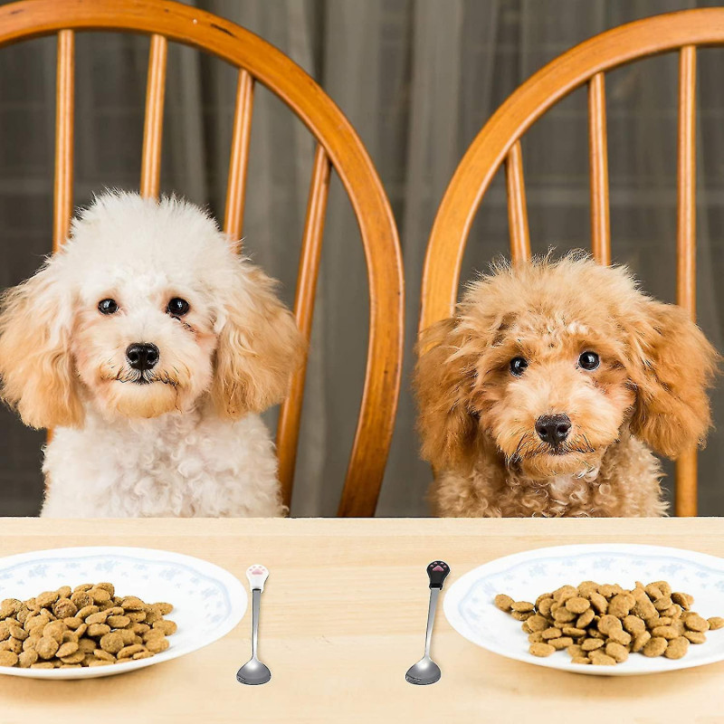 2 morceaux de cuillère de chat de chien animaux domestiques peuvent cuillère en acier inoxydable cuillère de [...]