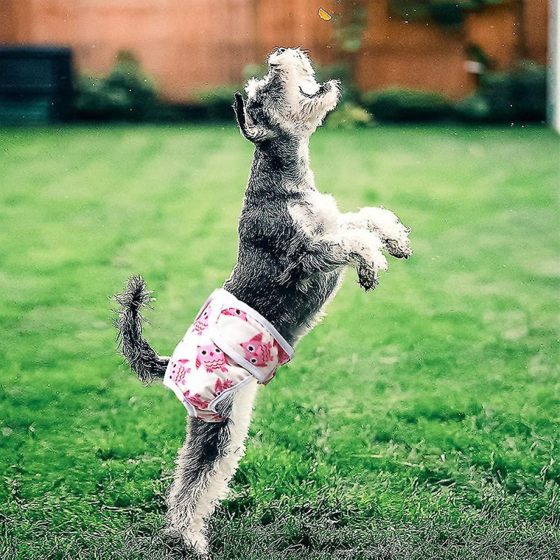 Paquet de 3 couches réutilisables lavables pour chiens, pantalon physiologique pour chien hautement absorbant [...]