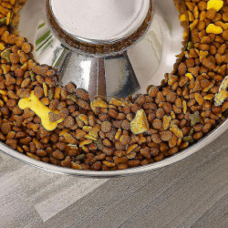 Stainless Steel Pet Food Bowl(1pcs) Stainless Steel Pet Food Bowl(1pcs)