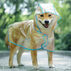 Raincoat For Dogs And Cats With A Hood, Adjustable, Pvc, Transparent, Waterproof, Ultra -light, For Small Dogs