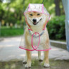 Raincoat For Dogs And Cats With A Hood, Adjustable, Pvc, Transparent, Waterproof, Ultra -light, For Small Dogs