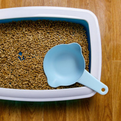 Pet Food Scoop Pet Feeding Shovel Plastic Food Shovel Pet Dry Food Spoon With Hanging Hole FLYE1588