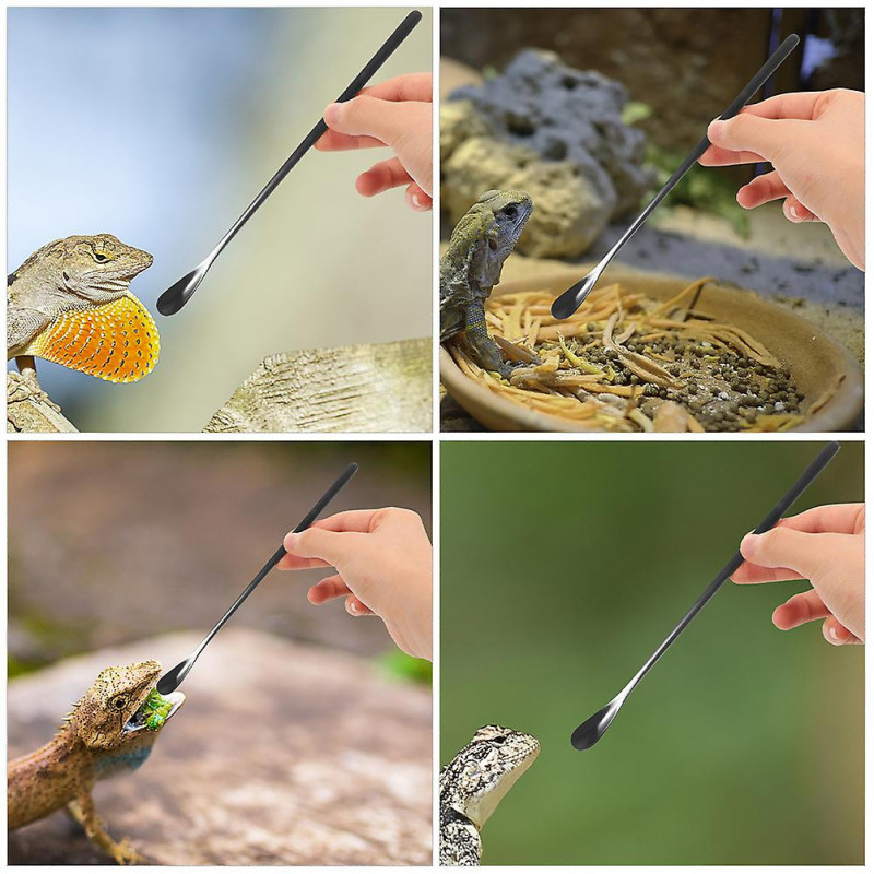 3Pcs Small Animal Reptile Feeding Spoon Lizard Food Water Scoop Mixing Stirring Food Feeding Spoon